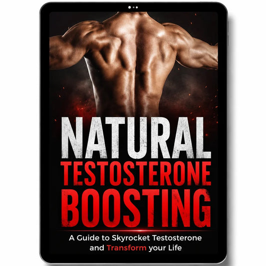 Guide to Increasing Testosterone Levels